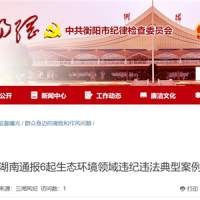 超時、超量、越界采砂！湖南通報6起生態環境領域違紀違法典型案例 2起與砂石有關！